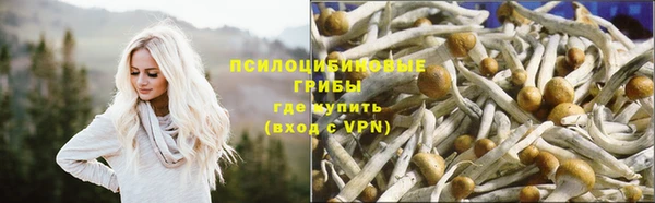 хмурый Белокуриха
