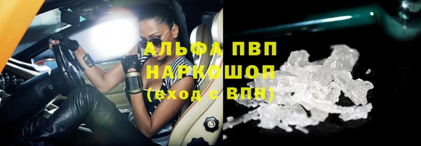 хмурый Белокуриха