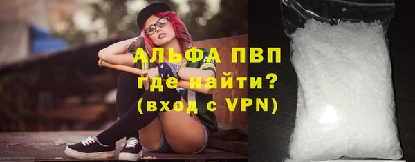 хмурый Белокуриха