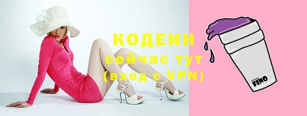 хмурый Белокуриха