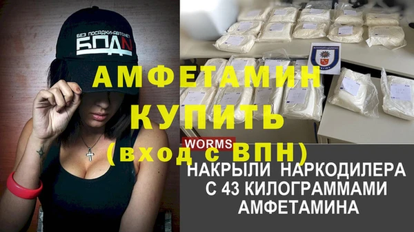 хмурый Белокуриха