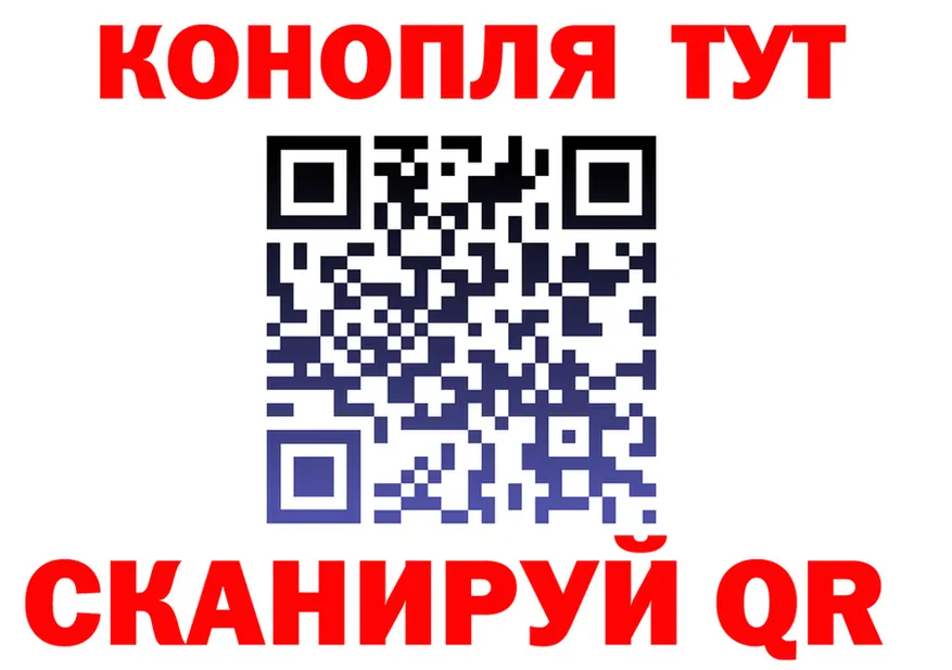 A PVP СК КРИС маркетплейс мориарти omg Светлогорск